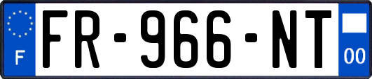FR-966-NT