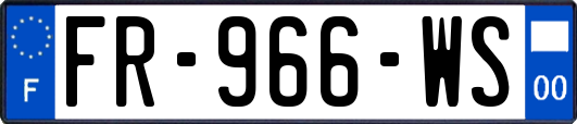 FR-966-WS