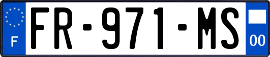 FR-971-MS