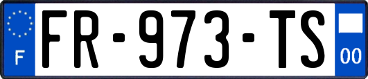 FR-973-TS