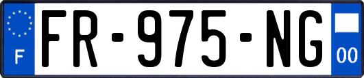 FR-975-NG
