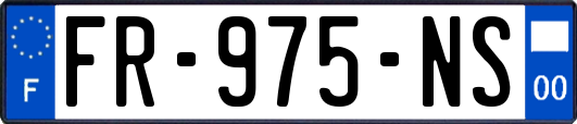 FR-975-NS