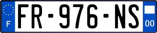 FR-976-NS