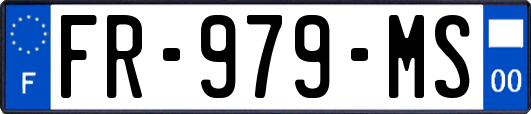 FR-979-MS