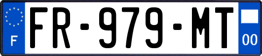 FR-979-MT