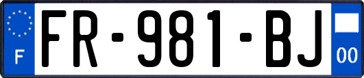 FR-981-BJ