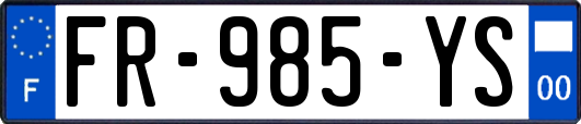 FR-985-YS