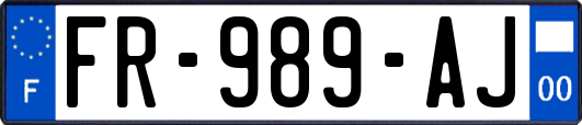 FR-989-AJ