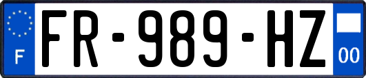 FR-989-HZ