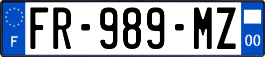 FR-989-MZ