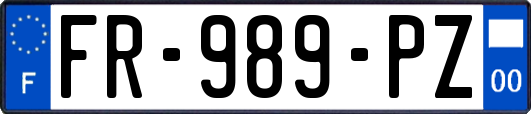 FR-989-PZ