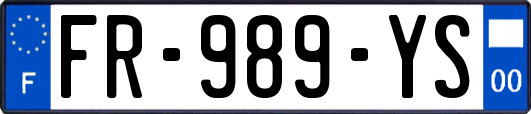 FR-989-YS