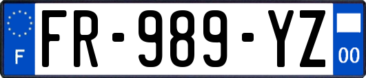 FR-989-YZ