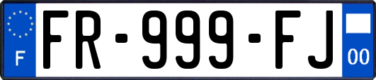 FR-999-FJ