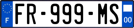 FR-999-MS