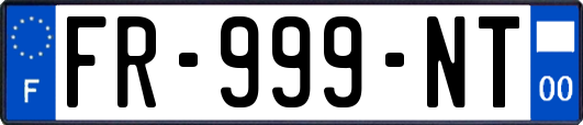 FR-999-NT