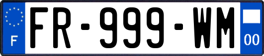 FR-999-WM