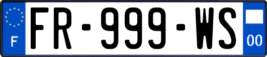 FR-999-WS