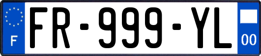 FR-999-YL
