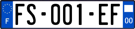 FS-001-EF