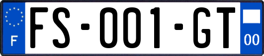 FS-001-GT