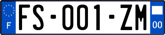 FS-001-ZM