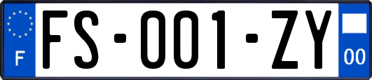 FS-001-ZY