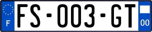 FS-003-GT