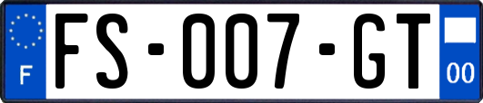 FS-007-GT