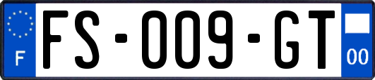 FS-009-GT