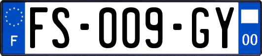 FS-009-GY