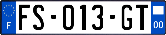 FS-013-GT