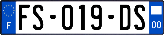 FS-019-DS