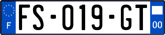 FS-019-GT
