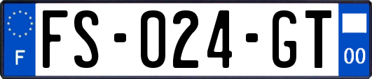 FS-024-GT