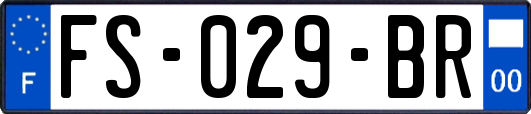 FS-029-BR