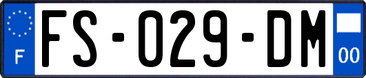 FS-029-DM