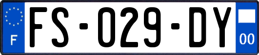 FS-029-DY