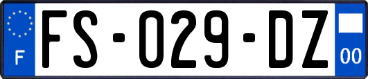 FS-029-DZ