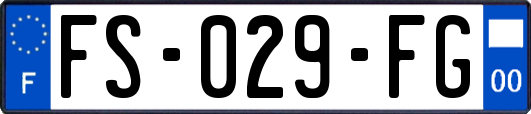 FS-029-FG