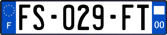 FS-029-FT