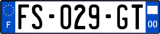FS-029-GT