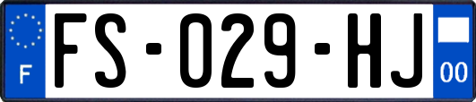 FS-029-HJ