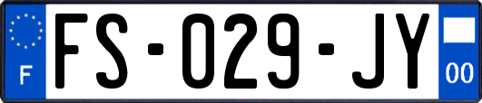 FS-029-JY