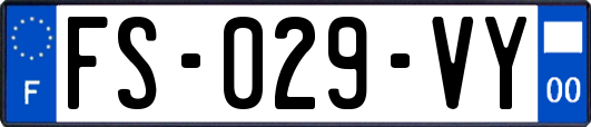 FS-029-VY