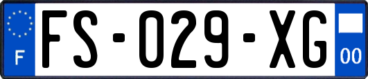 FS-029-XG