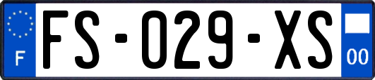 FS-029-XS
