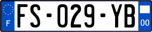 FS-029-YB