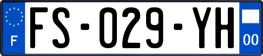 FS-029-YH