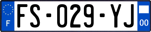 FS-029-YJ